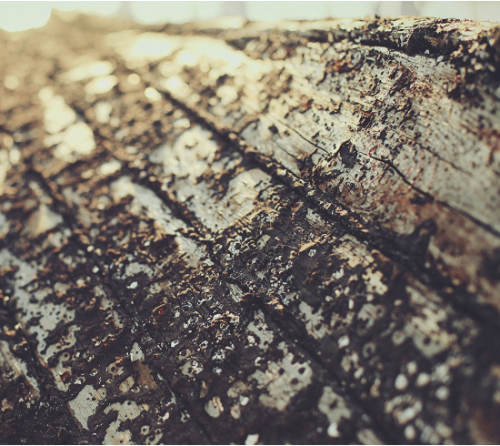 Quá tuyệt vời luôn